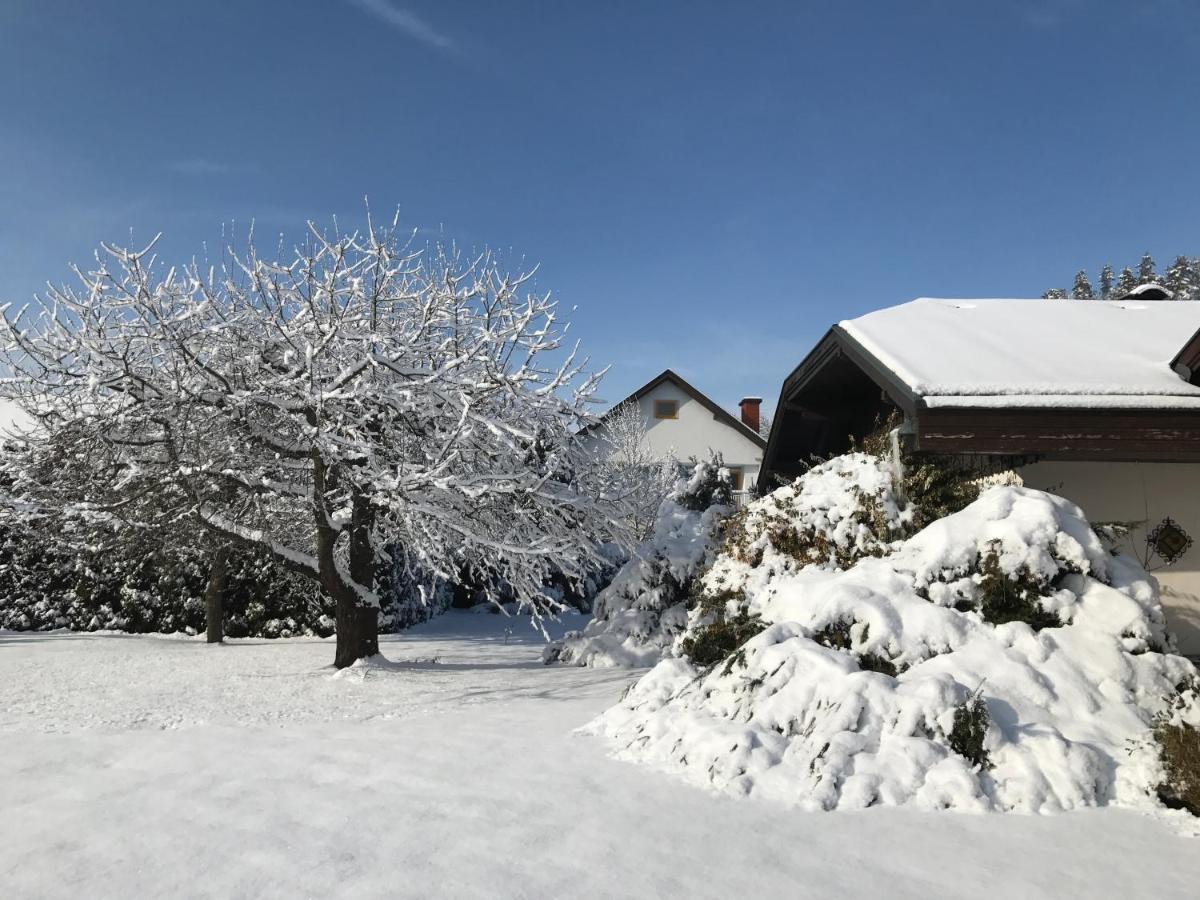 V Gemuetliches Gartenhaus Smihel nad Pliberkom Eksteriør bilde